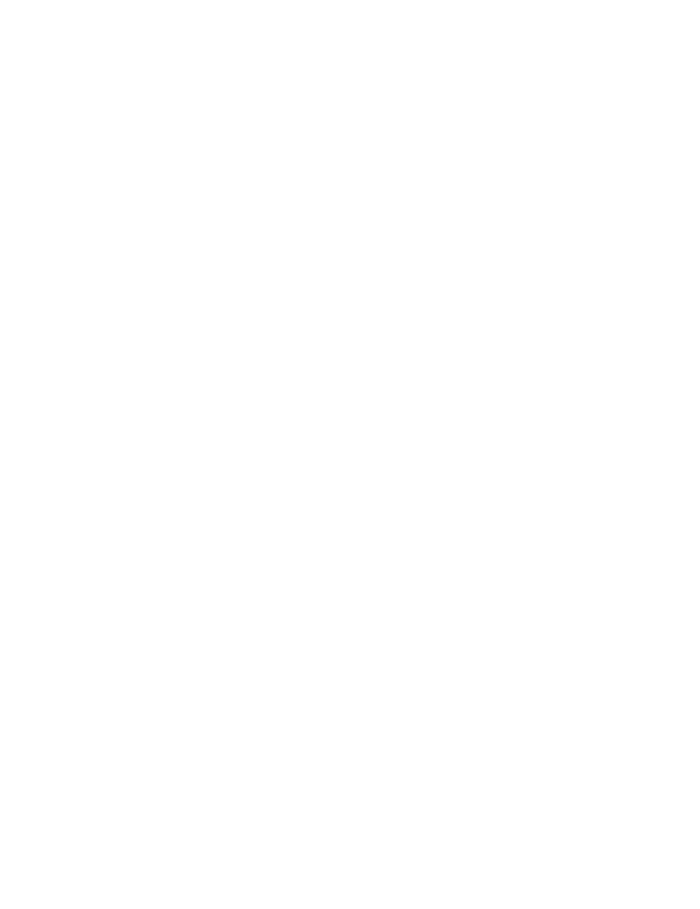 OPC VILLAGE 村落徽章